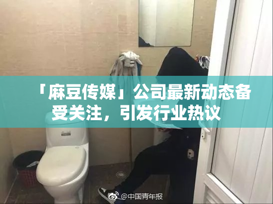 「麻豆传媒」公司最新动态备受关注，引发行业热议