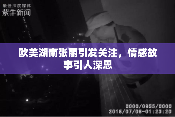 欧美湖南张丽引发关注，情感故事引人深思