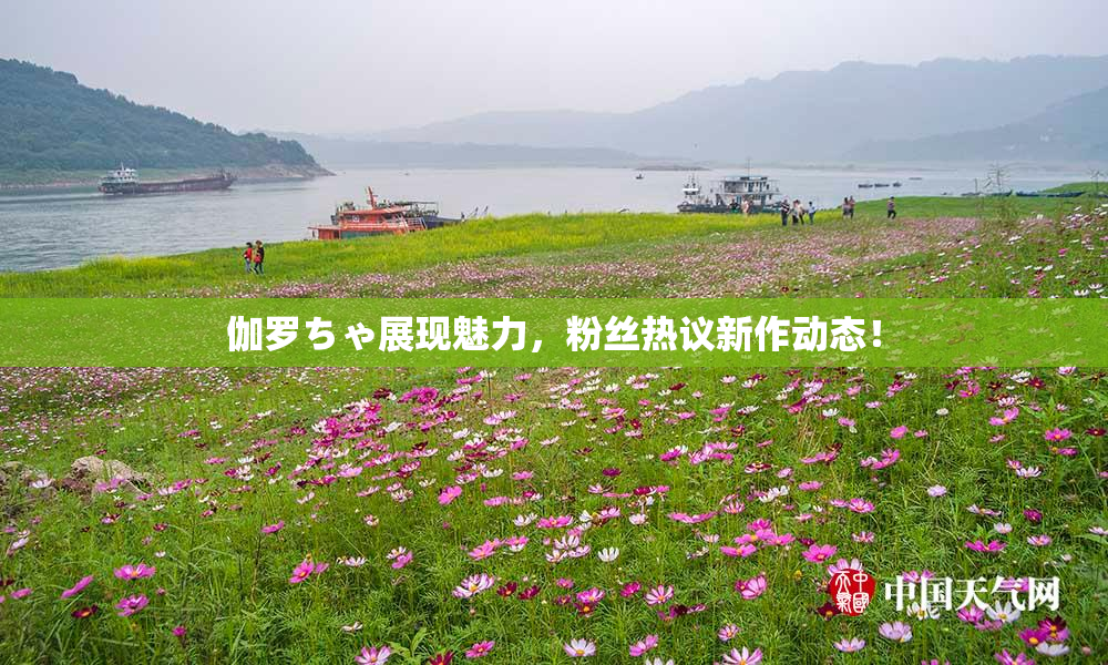 伽罗ちゃ展现魅力，粉丝热议新作动态！
