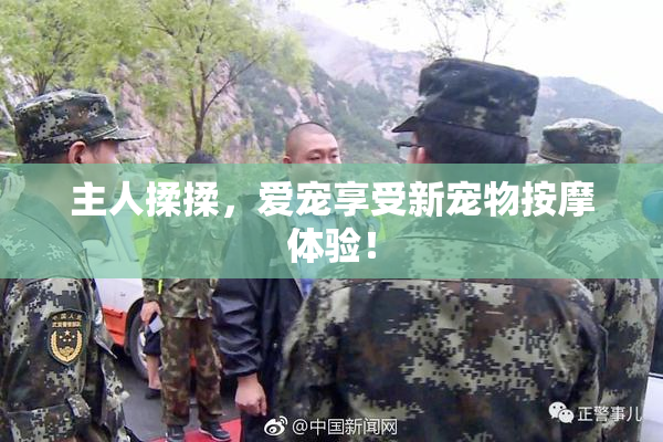 主人揉揉，爱宠享受新宠物按摩体验！