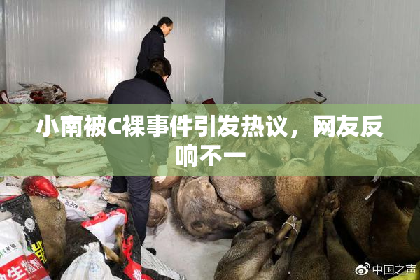 小南被C裸事件引发热议，网友反响不一