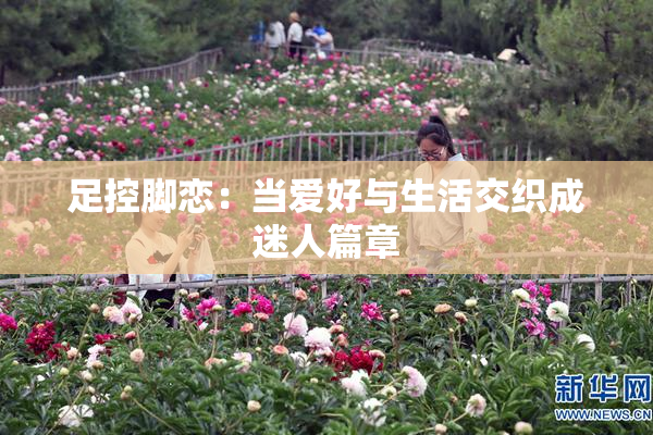 足控脚恋：当爱好与生活交织成迷人篇章