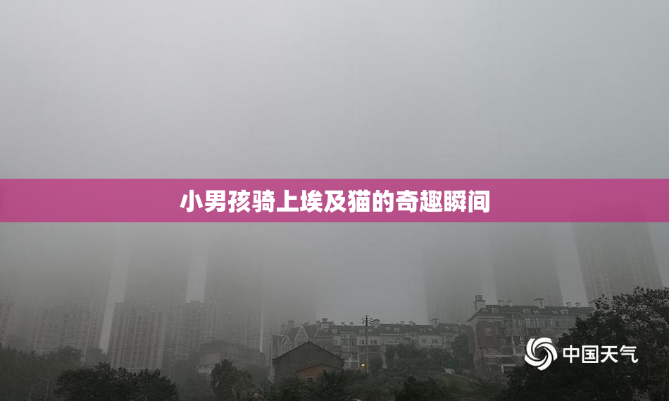 小男孩骑上埃及猫的奇趣瞬间