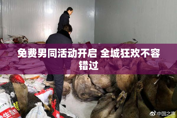 免费男同活动开启 全城狂欢不容错过