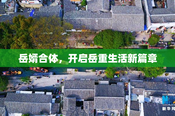 岳婿合体，开启岳重生活新篇章