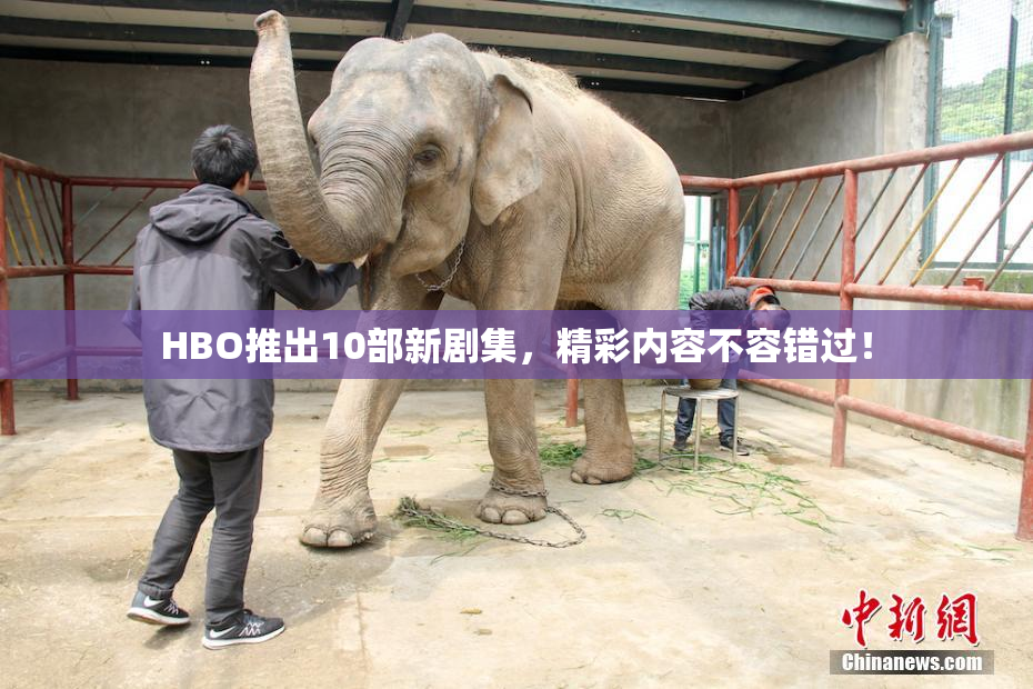 HBO推出10部新剧集，精彩内容不容错过！