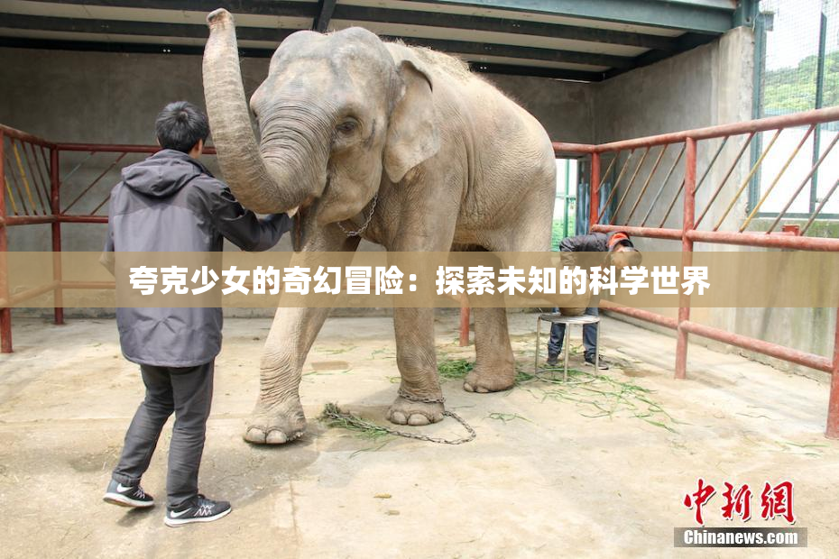 夸克少女的奇幻冒险：探索未知的科学世界