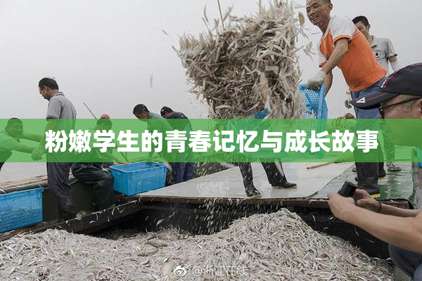 粉嫩学生的青春记忆与成长故事