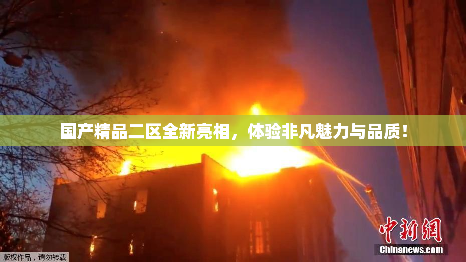 国产精品二区全新亮相，体验非凡魅力与品质！