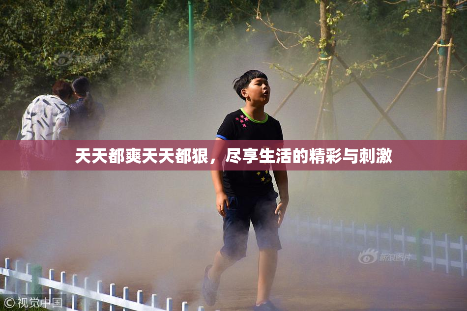 天天都爽天天都狠，尽享生活的精彩与刺激