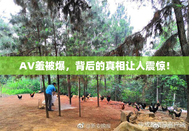 AV羞被爆，背后的真相让人震惊！