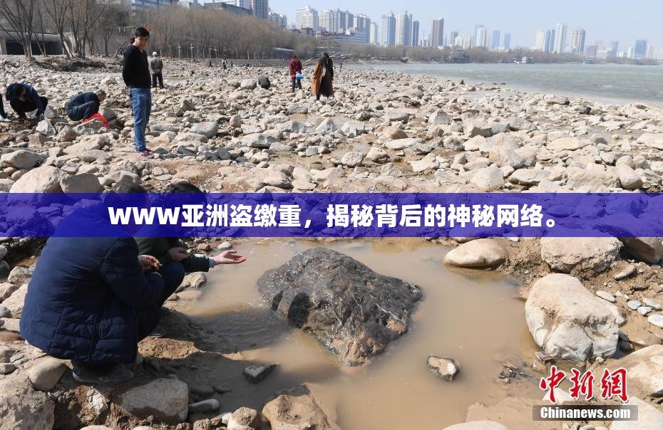 WWW亚洲盗缴重，揭秘背后的神秘网络。
