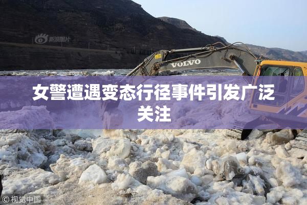 女警遭遇变态行径事件引发广泛关注