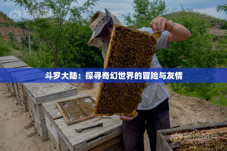 斗罗大陆：探寻奇幻世界的冒险与友情