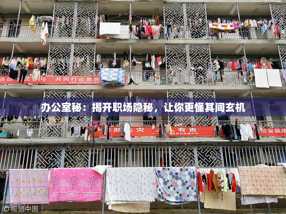 办公室秘：揭开职场隐秘，让你更懂其间玄机