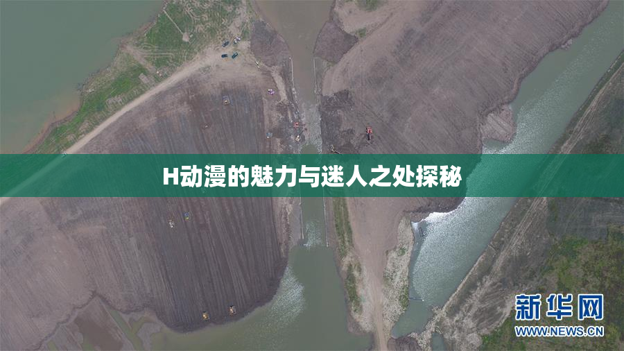 H动漫的魅力与迷人之处探秘