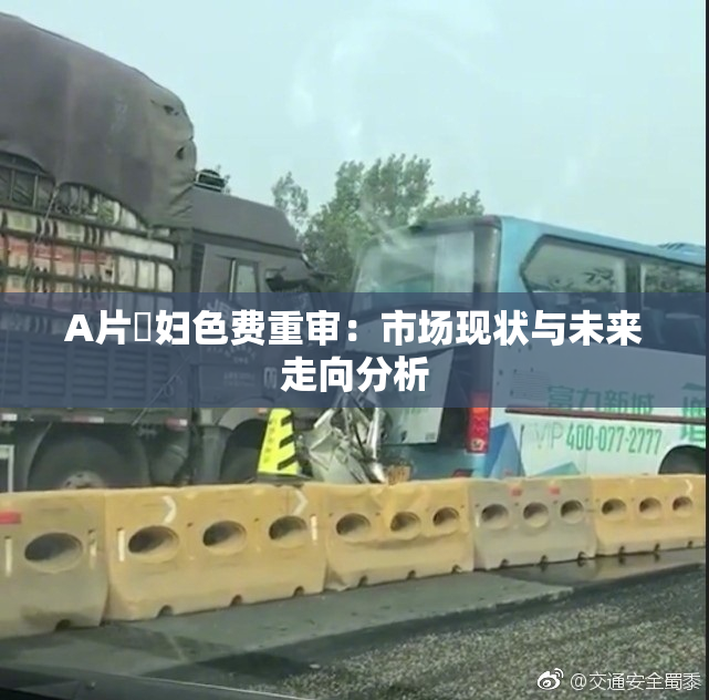 A片婬妇色费重审：市场现状与未来走向分析
