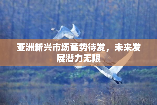 亚洲新兴市场蓄势待发，未来发展潜力无限