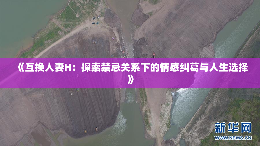 《互换人妻H：探索禁忌关系下的情感纠葛与人生选择》