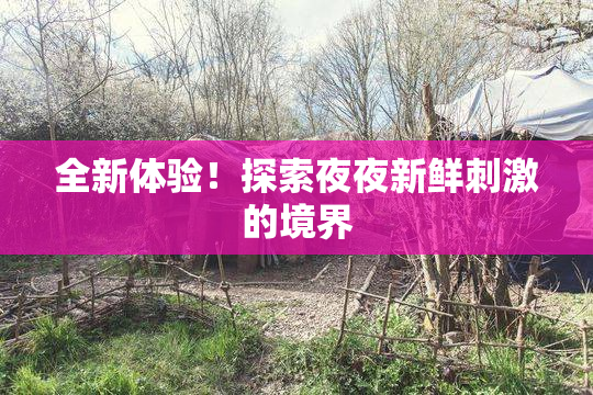 全新体验！探索夜夜新鲜刺激的境界