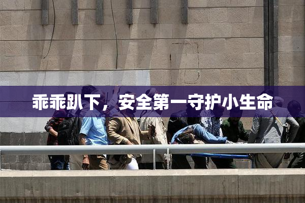 乖乖趴下，安全第一守护小生命