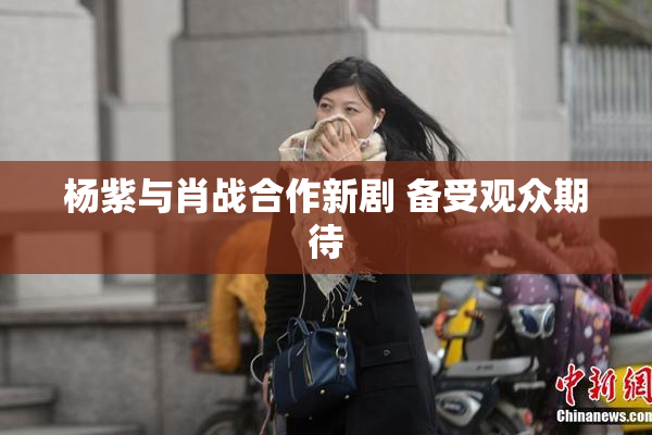 杨紫与肖战合作新剧 备受观众期待