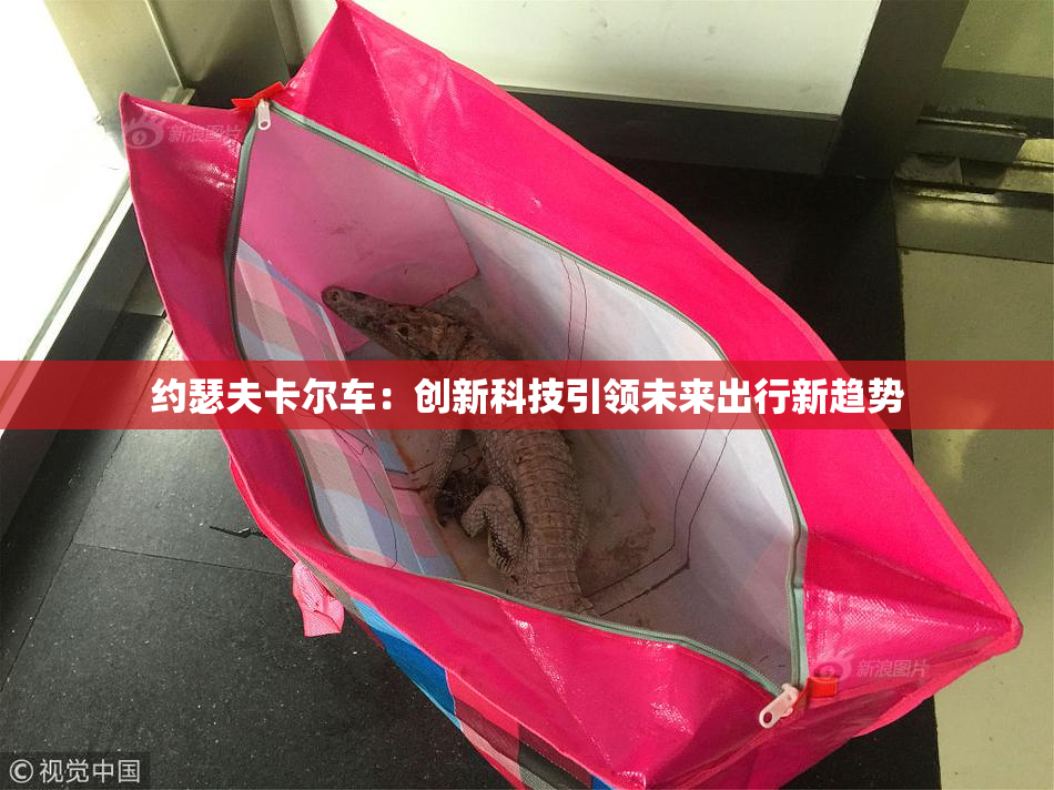 约瑟夫卡尔车：创新科技引领未来出行新趋势