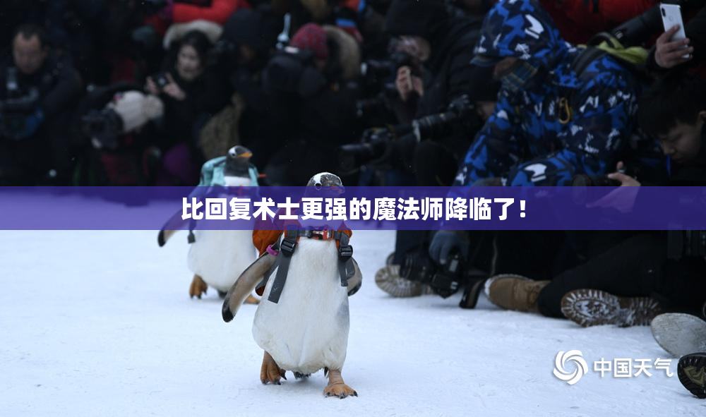 比回复术士更强的魔法师降临了！