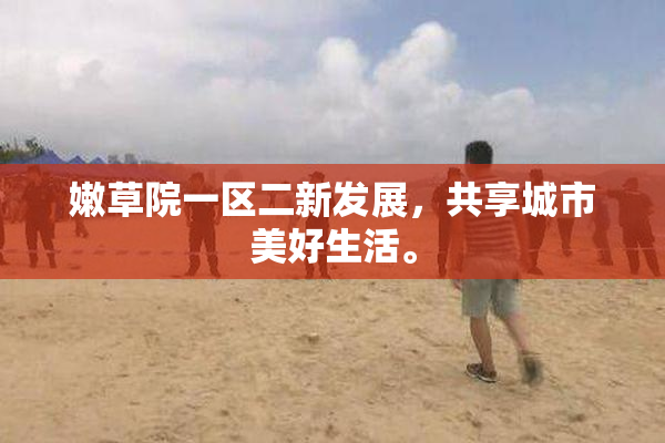 嫩草院一区二新发展，共享城市美好生活。