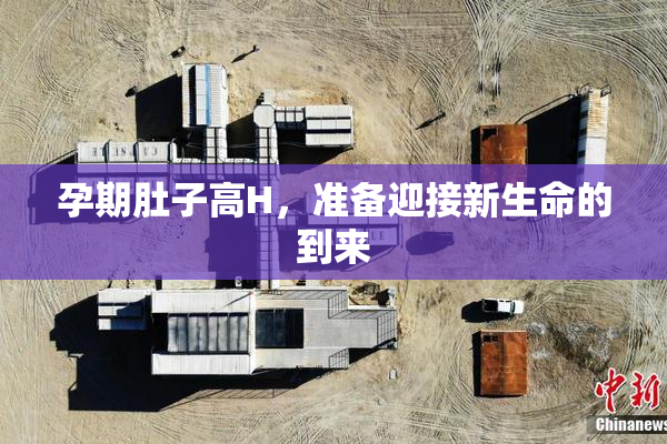 孕期肚子高H，准备迎接新生命的到来