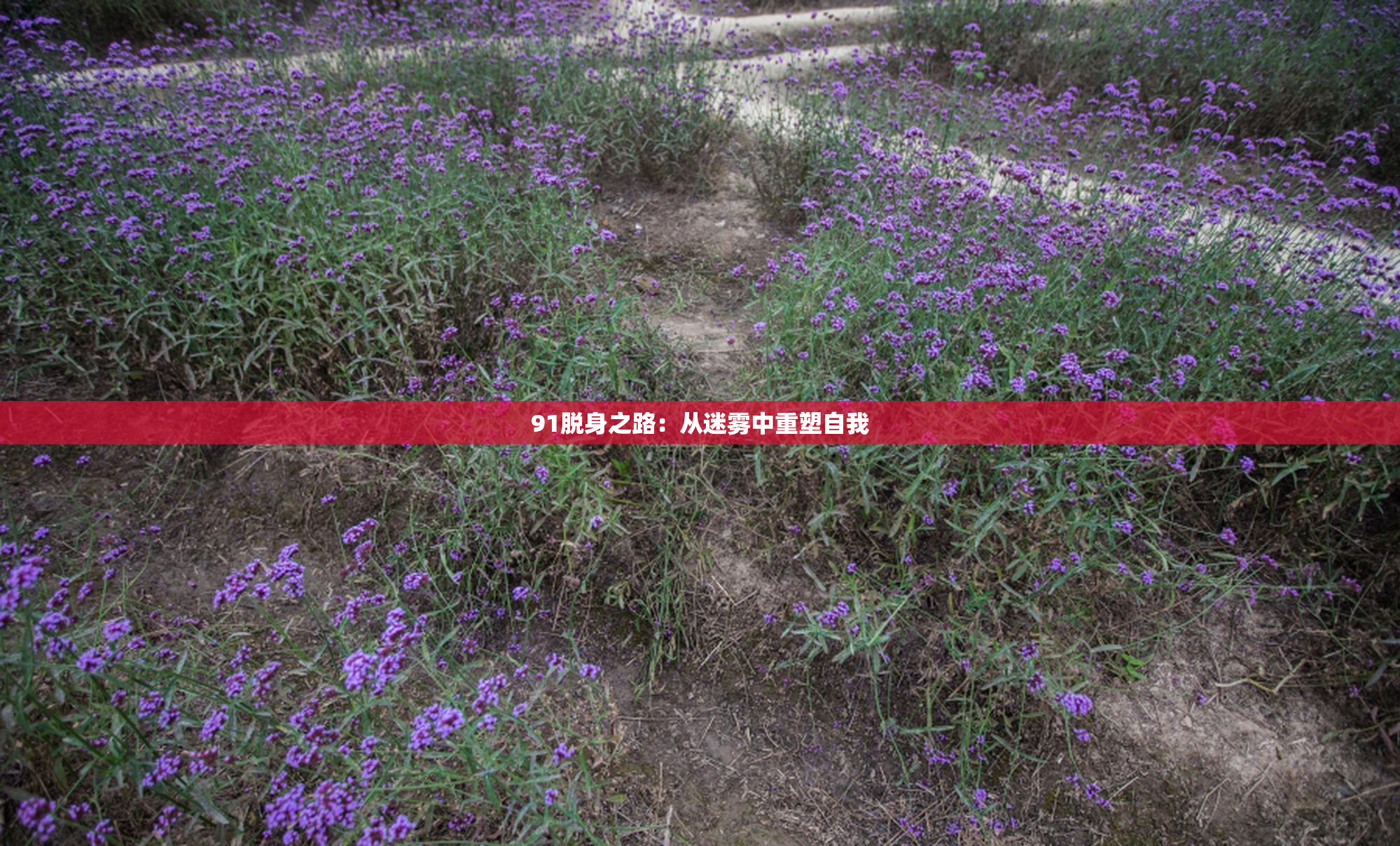 91脱身之路：从迷雾中重塑自我