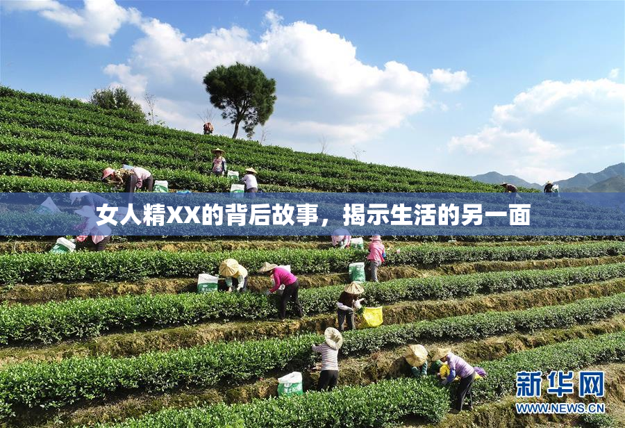 女人精XX的背后故事，揭示生活的另一面