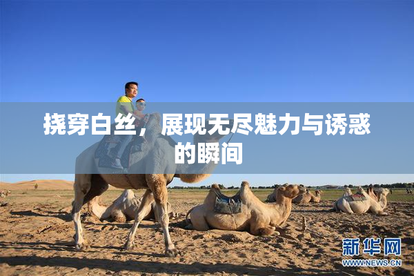 挠穿白丝，展现无尽魅力与诱惑的瞬间