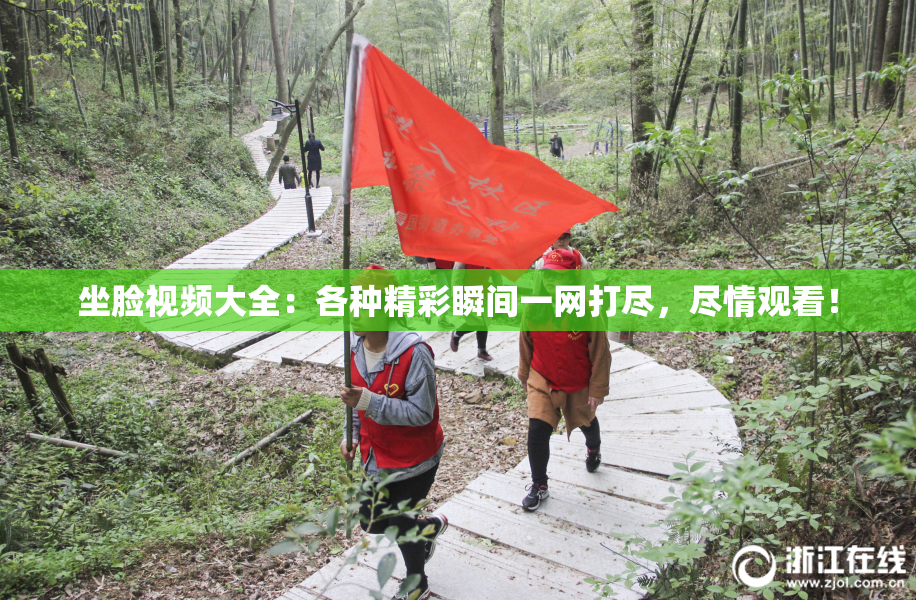 坐脸视频大全：各种精彩瞬间一网打尽，尽情观看！