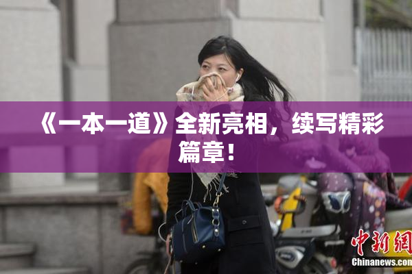 《一本一道》全新亮相，续写精彩篇章！