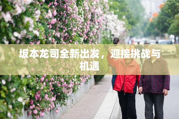 坂本龙司全新出发，迎接挑战与机遇