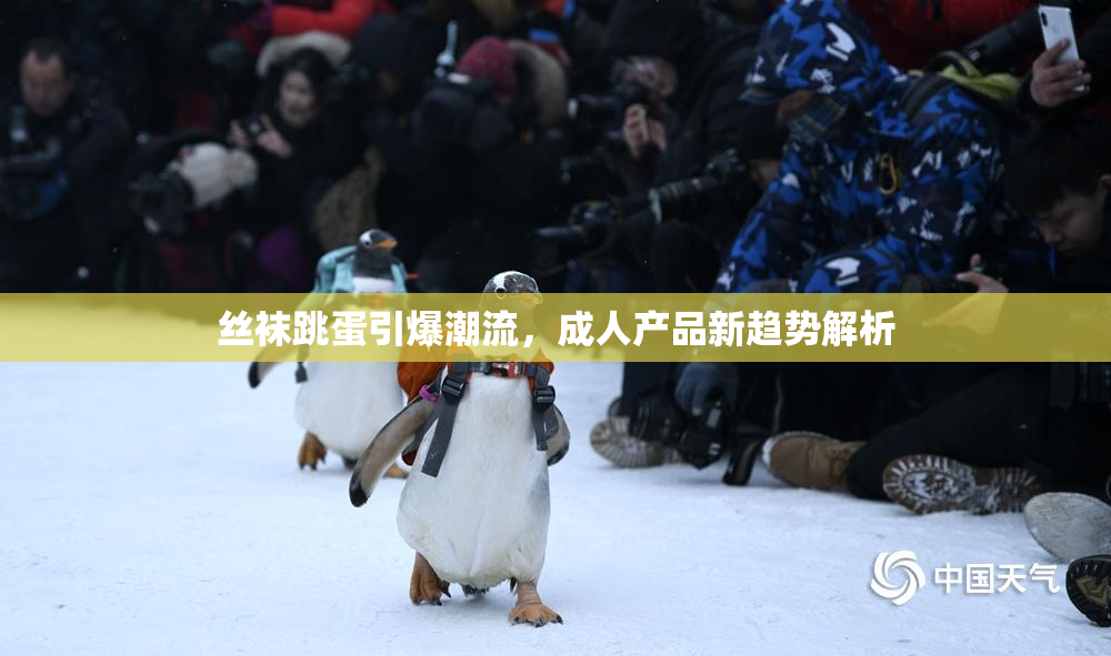 丝袜跳蛋引爆潮流，成人产品新趋势解析