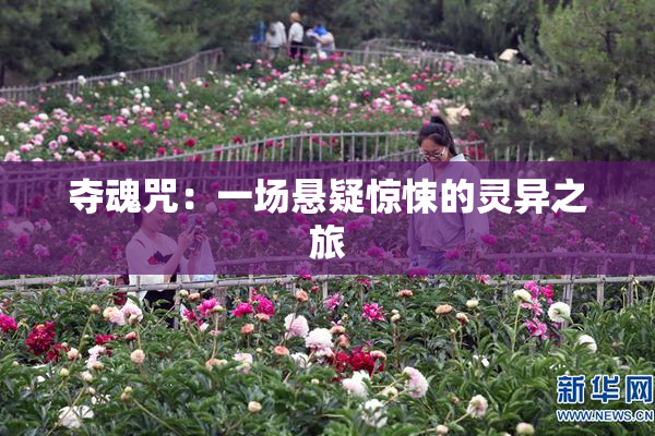 夺魂咒：一场悬疑惊悚的灵异之旅