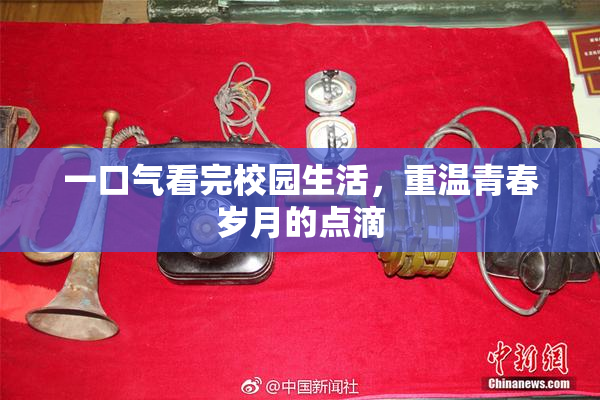 一口气看完校园生活，重温青春岁月的点滴