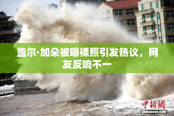 盖尔·加朵被曝裸照引发热议，网友反响不一