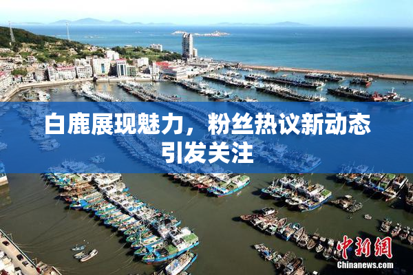 白鹿展现魅力，粉丝热议新动态引发关注