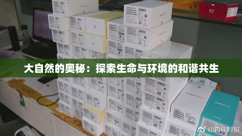 大自然的奥秘：探索生命与环境的和谐共生