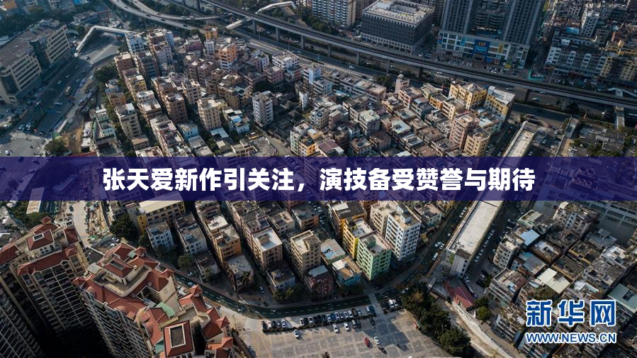张天爱新作引关注，演技备受赞誉与期待