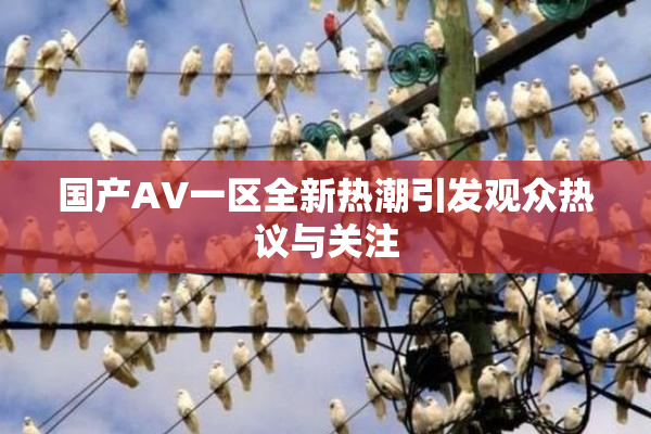 国产AV一区全新热潮引发观众热议与关注