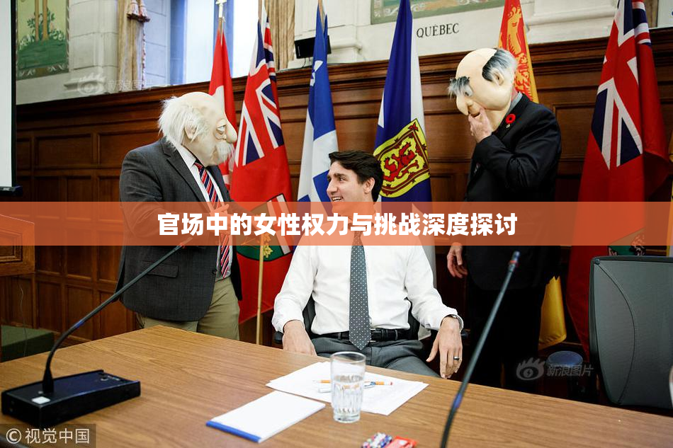 官场中的女性权力与挑战深度探讨
