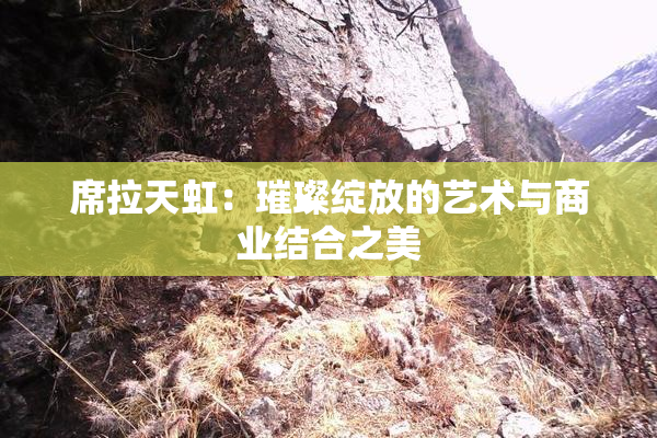 席拉天虹：璀璨绽放的艺术与商业结合之美