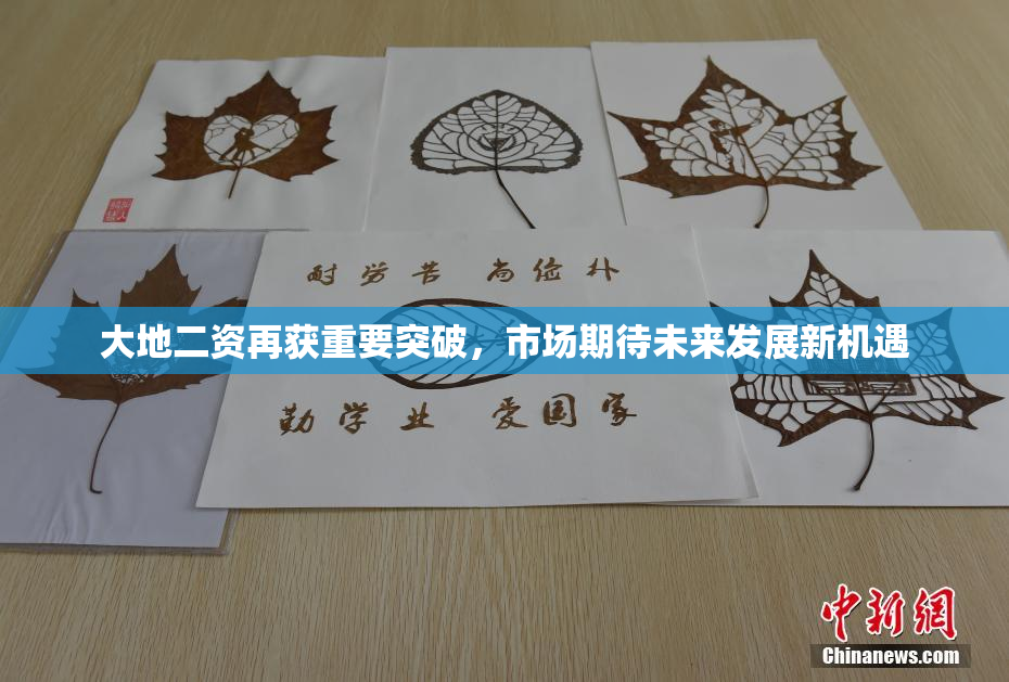 大地二资再获重要突破，市场期待未来发展新机遇