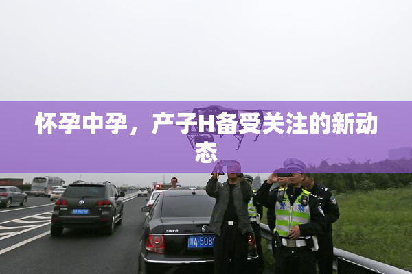 怀孕中孕，产子H备受关注的新动态
