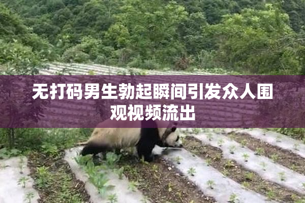 无打码男生勃起瞬间引发众人围观视频流出