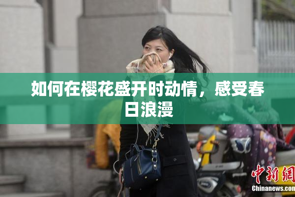 如何在樱花盛开时动情，感受春日浪漫